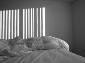 8303B0D2-DB26-492E-ABD6-EE3FC17671F6 (1)