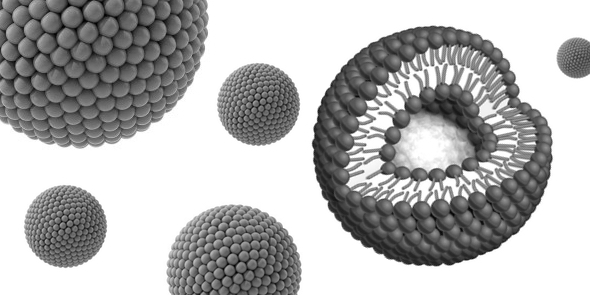 liposome