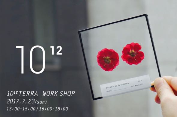 terra_workshopFlyer