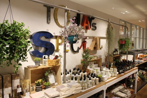 todaysspecial_shibuya1